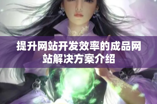 提升网站开发效率的成品网站解决方案介绍