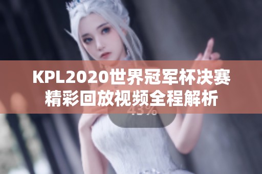 KPL2020世界冠军杯决赛精彩回放视频全程解析