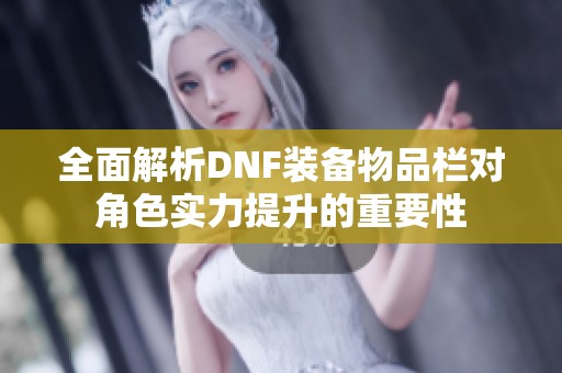 全面解析DNF装备物品栏对角色实力提升的重要性