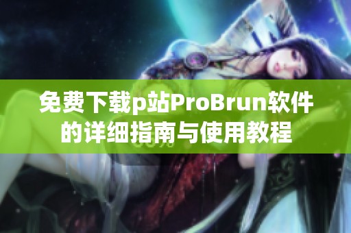 免费下载p站ProBrun软件的详细指南与使用教程