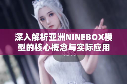 深入解析亚洲NINEBOX模型的核心概念与实际应用