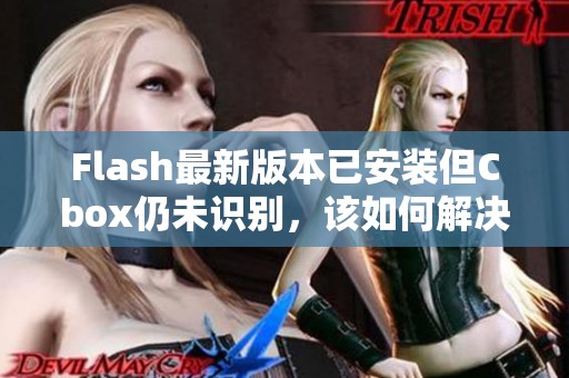 Flash最新版本已安装但Cbox仍未识别，该如何解决问题