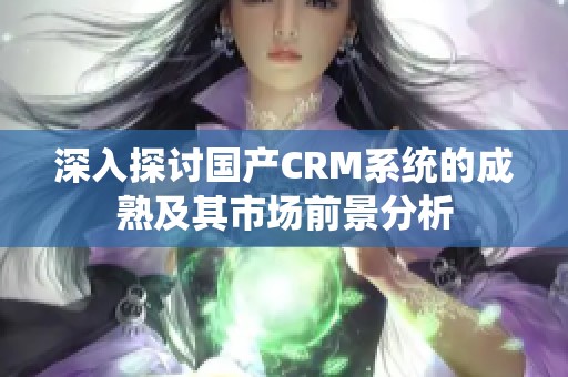 深入探讨国产CRM系统的成熟及其市场前景分析