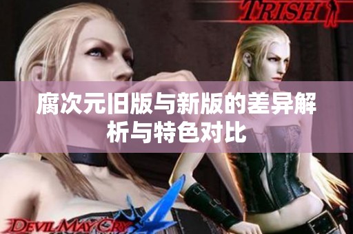 腐次元旧版与新版的差异解析与特色对比