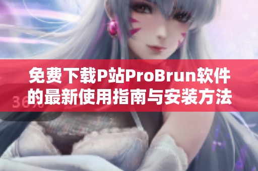 免费下载P站ProBrun软件的最新使用指南与安装方法