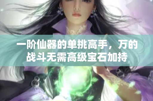 一阶仙器的单挑高手，万的战斗无需高级宝石加持