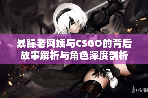 暴躁老阿姨与CSGO的背后故事解析与角色深度剖析