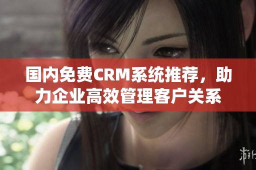 国内免费CRM系统推荐，助力企业高效管理客户关系