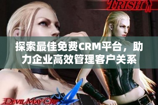 探索最佳免费CRM平台，助力企业高效管理客户关系