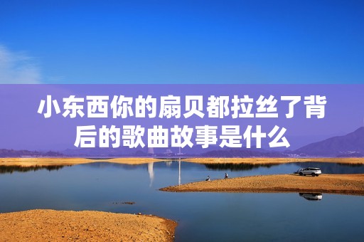 小东西你的扇贝都拉丝了背后的歌曲故事是什么