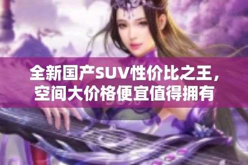 全新国产SUV性价比之王，空间大价格便宜值得拥有