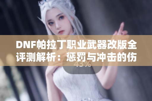 DNF帕拉丁职业武器改版全评测解析：惩罚与冲击的伤害对比