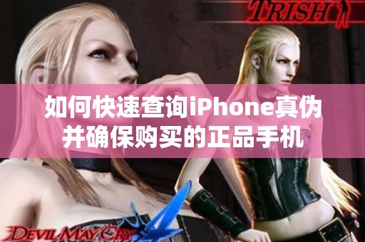 如何快速查询iPhone真伪并确保购买的正品手机