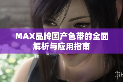 MAX品牌国产色带的全面解析与应用指南