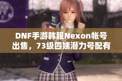 DNF手游韩服Nexon帐号出售，73级四姨潜力号配有双套天空装备