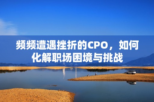 频频遭遇挫折的CPO，如何化解职场困境与挑战