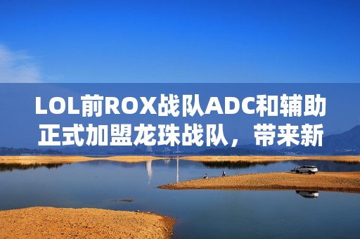 LOL前ROX战队ADC和辅助正式加盟龙珠战队，带来新希望