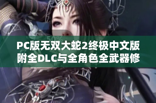 PC版无双大蛇2终极中文版附全DLC与全角色全武器修改器包