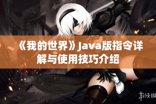 《我的世界》Java版指令详解与使用技巧介绍