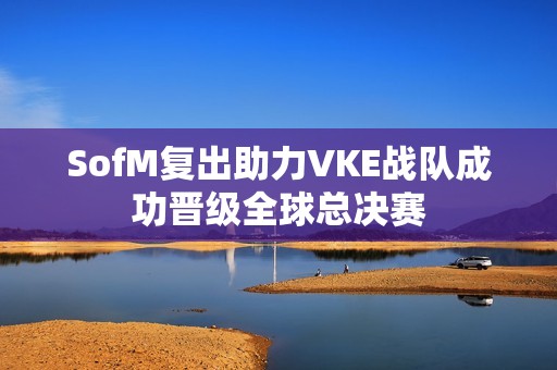 SofM复出助力VKE战队成功晋级全球总决赛