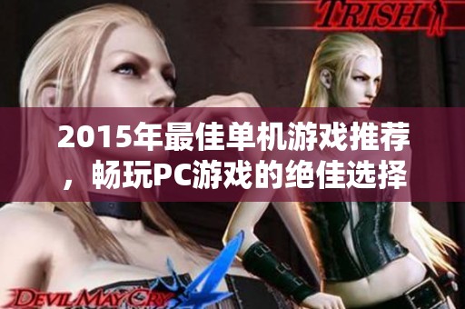 2015年最佳单机游戏推荐，畅玩PC游戏的绝佳选择