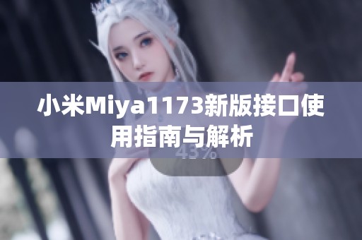 小米Miya1173新版接口使用指南与解析