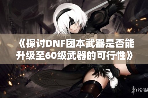 《探讨DNF团本武器是否能升级至60级武器的可行性》