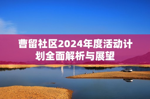 曹留社区2024年度活动计划全面解析与展望