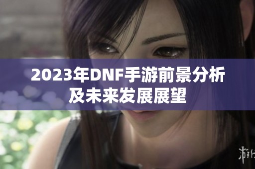 2023年DNF手游前景分析及未来发展展望