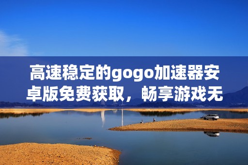 高速稳定的gogo加速器安卓版免费获取，畅享游戏无阻体验