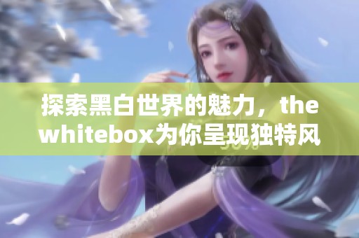 探索黑白世界的魅力，thewhitebox为你呈现独特风格