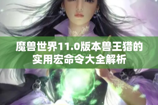 魔兽世界11.0版本兽王猎的实用宏命令大全解析