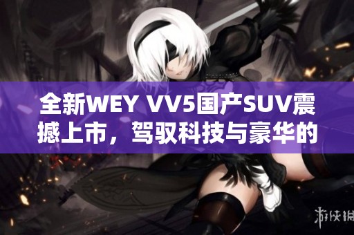 全新WEY VV5国产SUV震撼上市，驾驭科技与豪华的完美结合