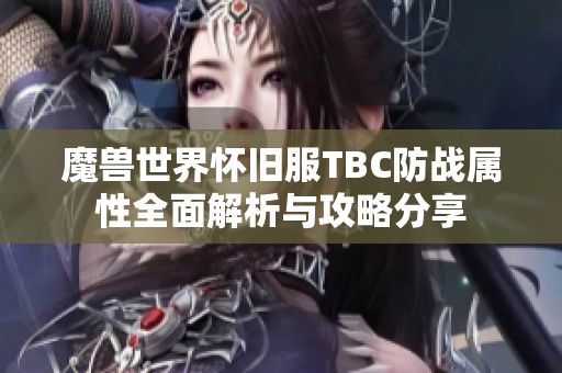 魔兽世界怀旧服TBC防战属性全面解析与攻略分享