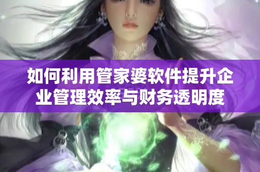 如何利用管家婆软件提升企业管理效率与财务透明度