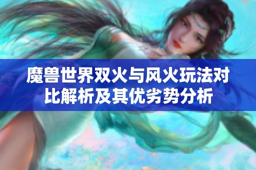 魔兽世界双火与风火玩法对比解析及其优劣势分析