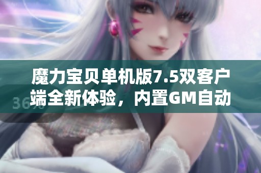 魔力宝贝单机版7.5双客户端全新体验，内置GM自动战斗功能展示