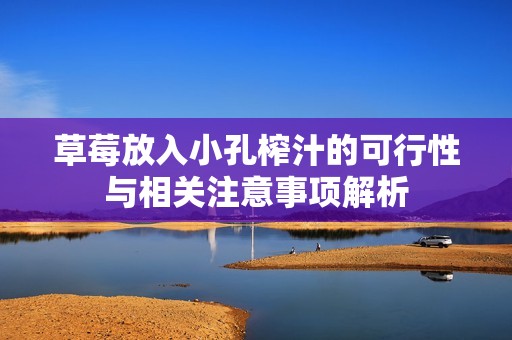 草莓放入小孔榨汁的可行性与相关注意事项解析