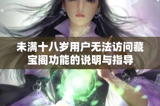 未满十八岁用户无法访问藏宝阁功能的说明与指导