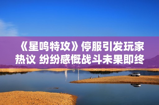 《星鸣特攻》停服引发玩家热议 纷纷感慨战斗未果即终结