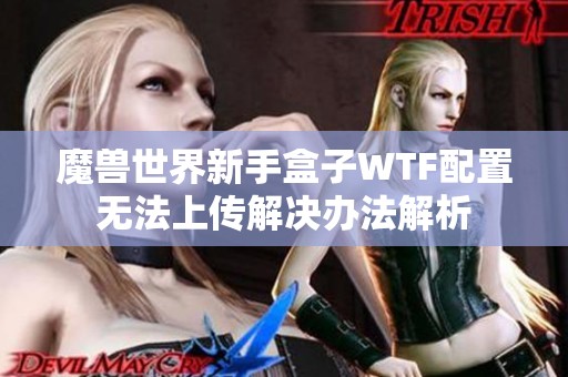 魔兽世界新手盒子WTF配置无法上传解决办法解析