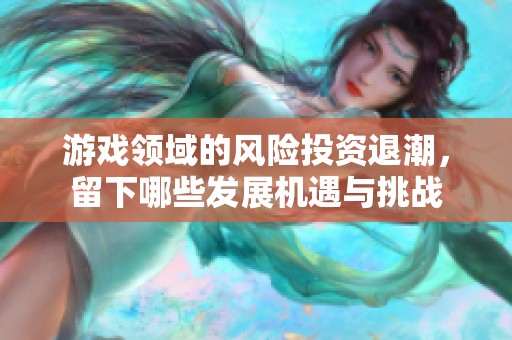 游戏领域的风险投资退潮，留下哪些发展机遇与挑战