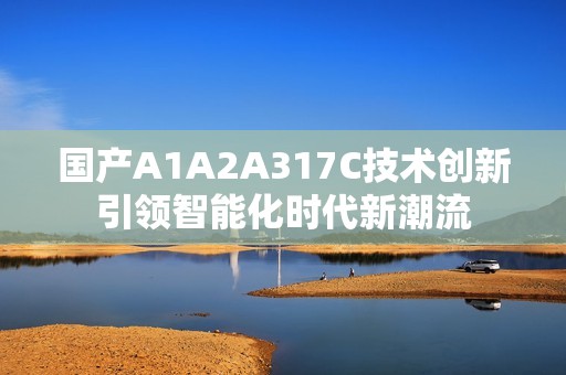 国产A1A2A317C技术创新引领智能化时代新潮流