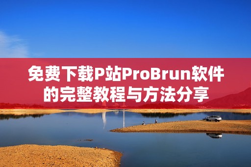 免费下载P站ProBrun软件的完整教程与方法分享