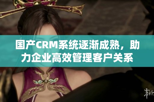 国产CRM系统逐渐成熟，助力企业高效管理客户关系