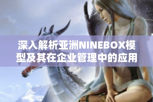 深入解析亚洲NINEBOX模型及其在企业管理中的应用与价值