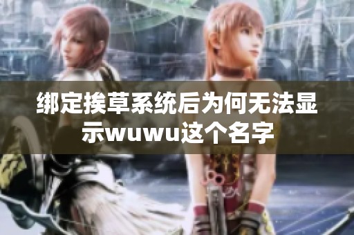 绑定挨草系统后为何无法显示wuwu这个名字