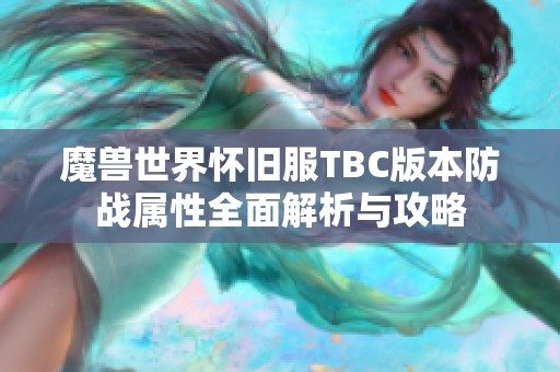 魔兽世界怀旧服TBC版本防战属性全面解析与攻略