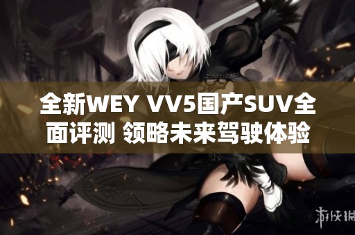 全新WEY VV5国产SUV全面评测 领略未来驾驶体验