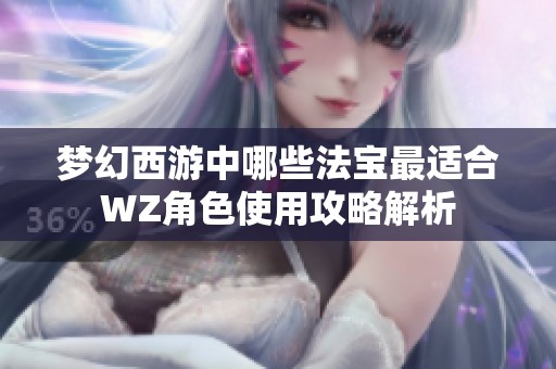 梦幻西游中哪些法宝最适合WZ角色使用攻略解析